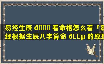 易经生辰 🐛 看命格怎么看「易经根据生辰八字算命 🌵 的原理」